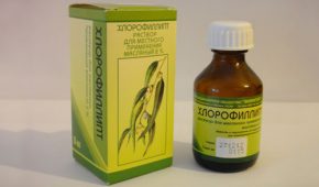 Хлорофиллипт для лечения молочницы