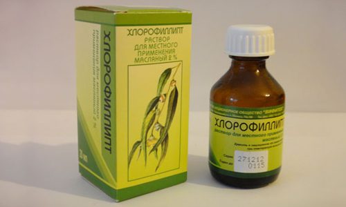 Хлорофиллипт для лечения молочницы