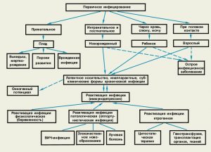 Пути передачи и формы ЦМВ-инфекции