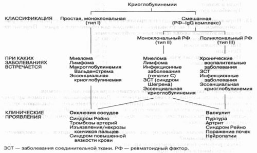 Классификация криоглобулинемии