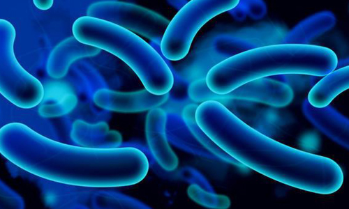 Ureaplasma species: что это такое и как ее лечить