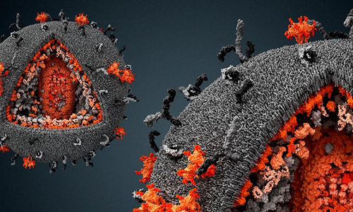 ВПЧ 35 типа у женщин и мужчин: лечение и проявления