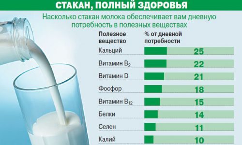 Польза молока