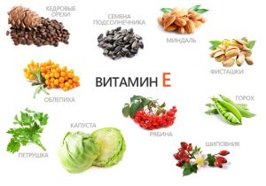 Пищевые источники витамина Е