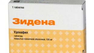 Зидена