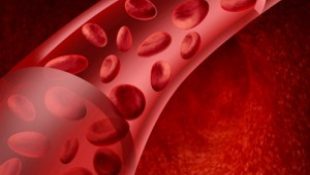 Улучшение микроциркуляции крови