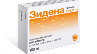 Зидена